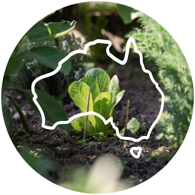An image of healthy organic lettuce growing in a veggie patch, with an 'Australia' outlined graphic in white placed over the top to signify 'Australian made'.