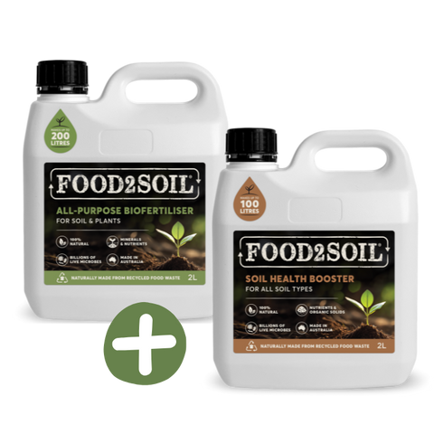 Essential Plant Care Starter Kit