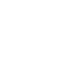 Decorative Icon