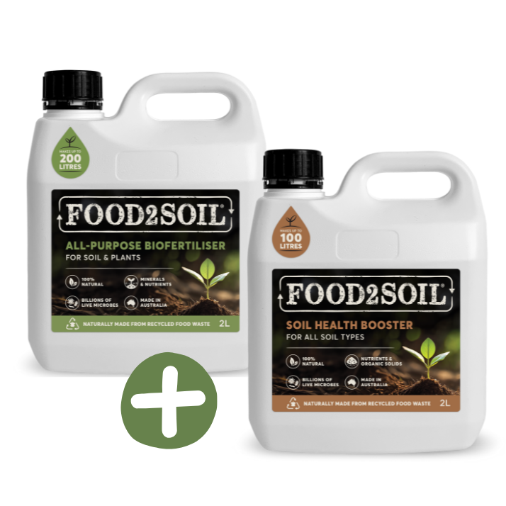Essential Plant Care Starter Kit
