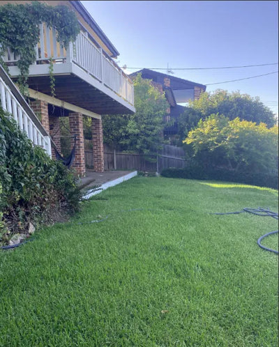 Lawn care and landscaping