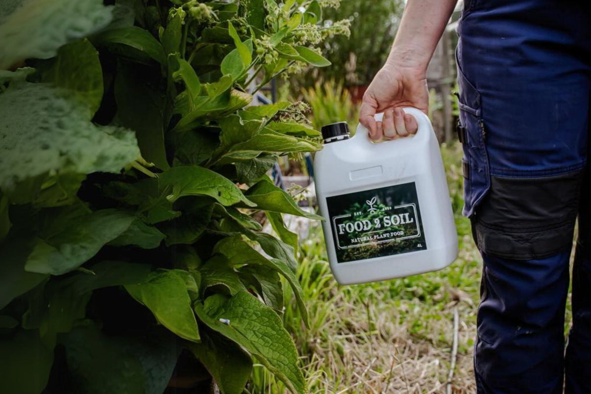 Biochar Australia | Biochar for Sale in Bulk Online – Food2Soil